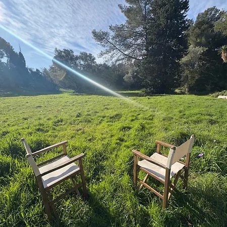 Magdala Arts&résidence Bed and breakfast Hyères