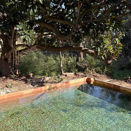 Magdala Arts&résidence Bed & Breakfast *