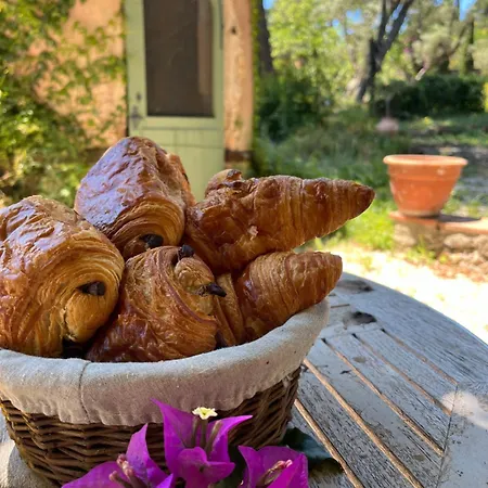 Magdala Arts & Bed & Breakfast *
