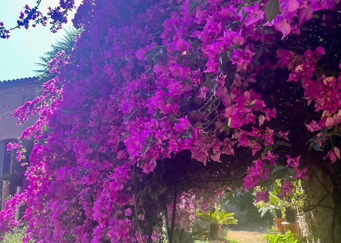 Magdala Arts&résidence